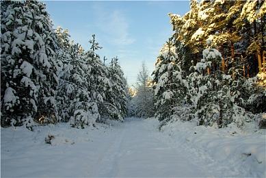 Steam万代南梦宫发行商周末 多款游戏打骨折销售